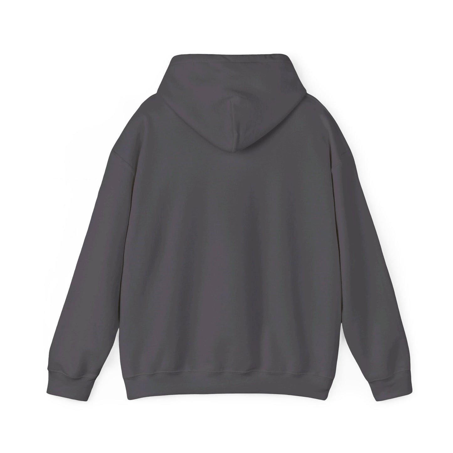 Secret Collection Front Printed Hooded Sweatshirt