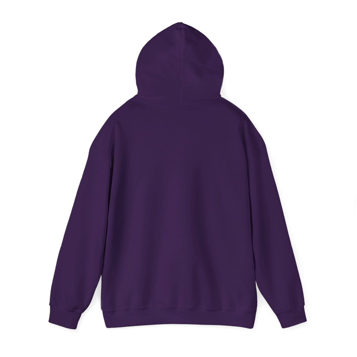 Secret Collection Front Printed Hooded Sweatshirt