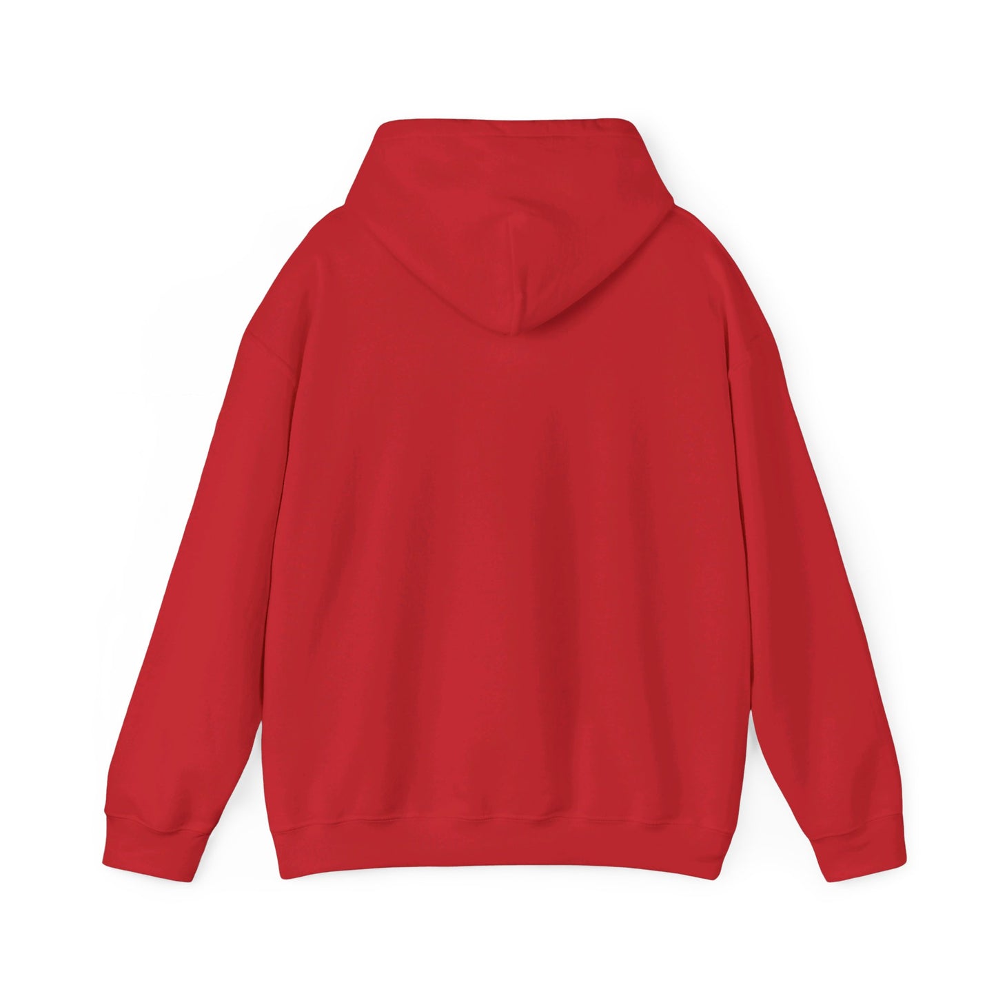 Secret Collection Front Printed Hooded Sweatshirt