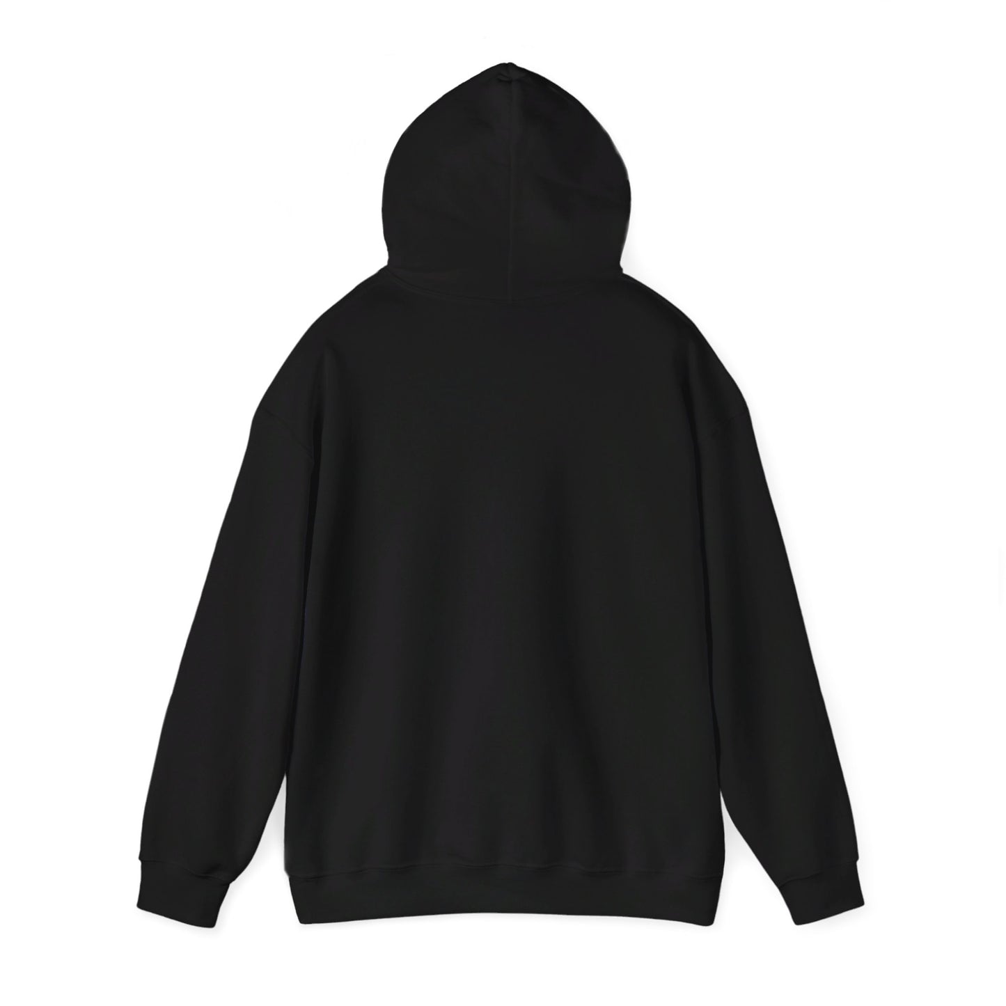 Secret Collection Front Printed Hooded Sweatshirt