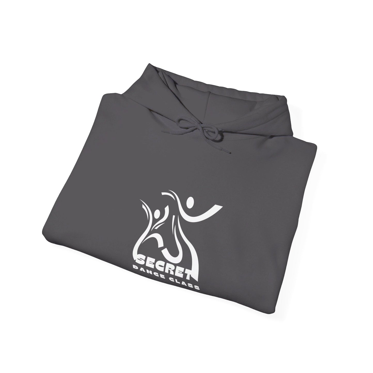 Secret Collection Front Printed Hooded Sweatshirt