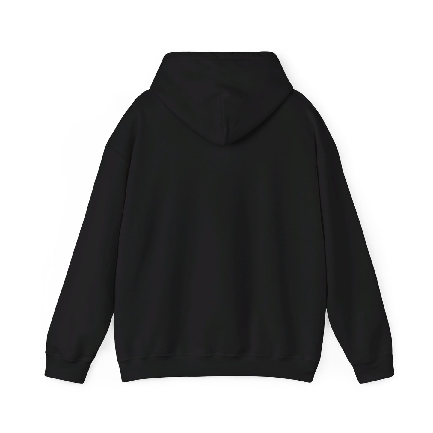 Secret Collection Front Printed Hooded Sweatshirt