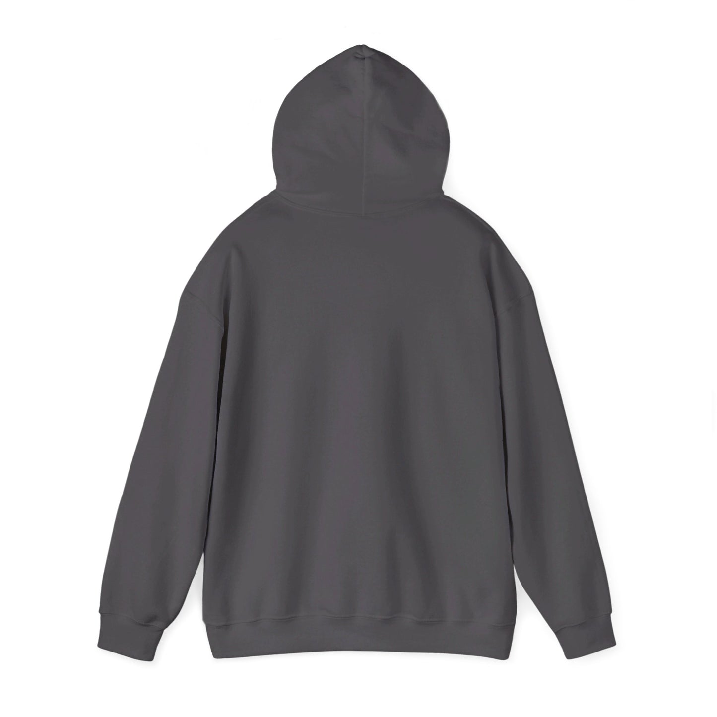 Secret Collection Front Printed Hooded Sweatshirt