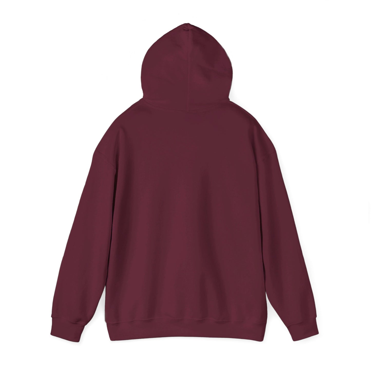 Secret Collection Front Printed Hooded Sweatshirt