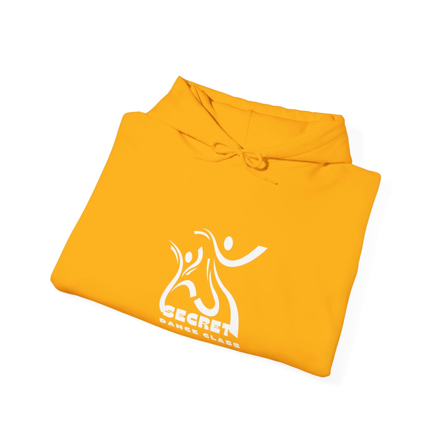 Secret Collection Front Printed Hooded Sweatshirt