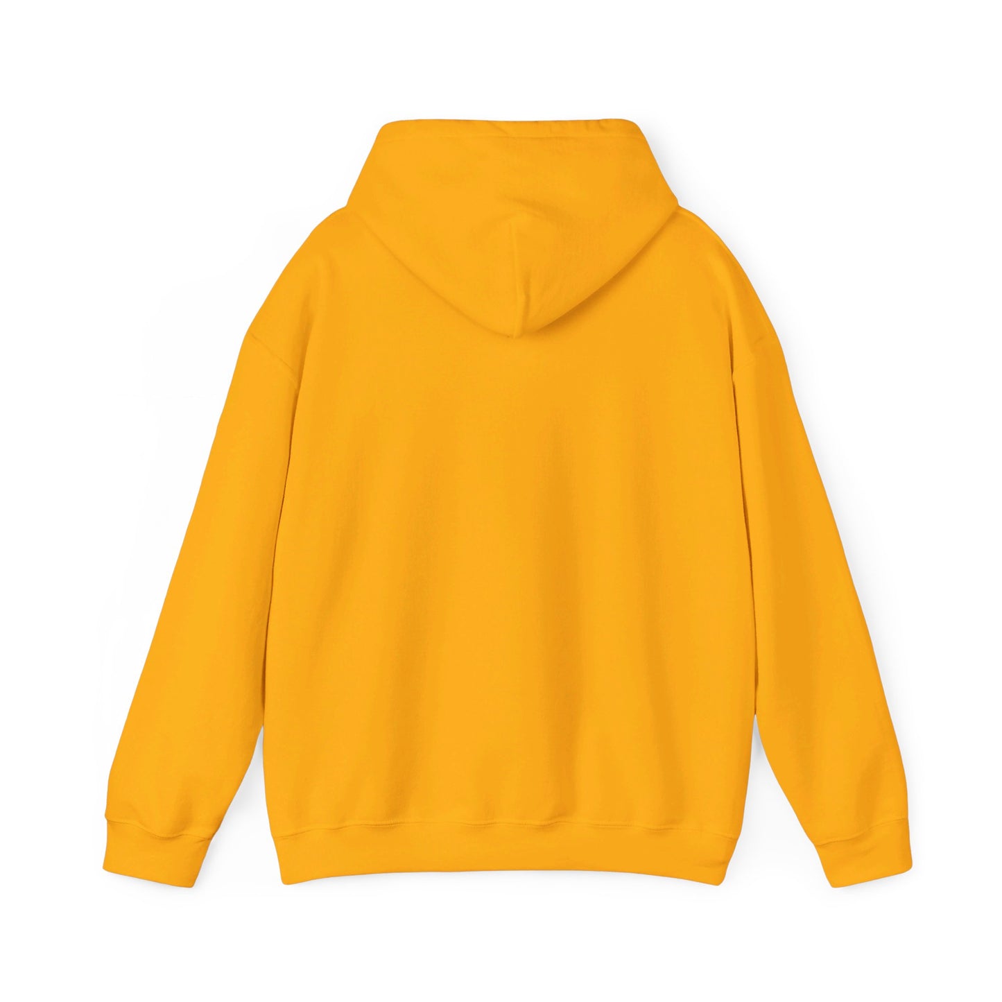 Secret Collection Front Printed Hooded Sweatshirt