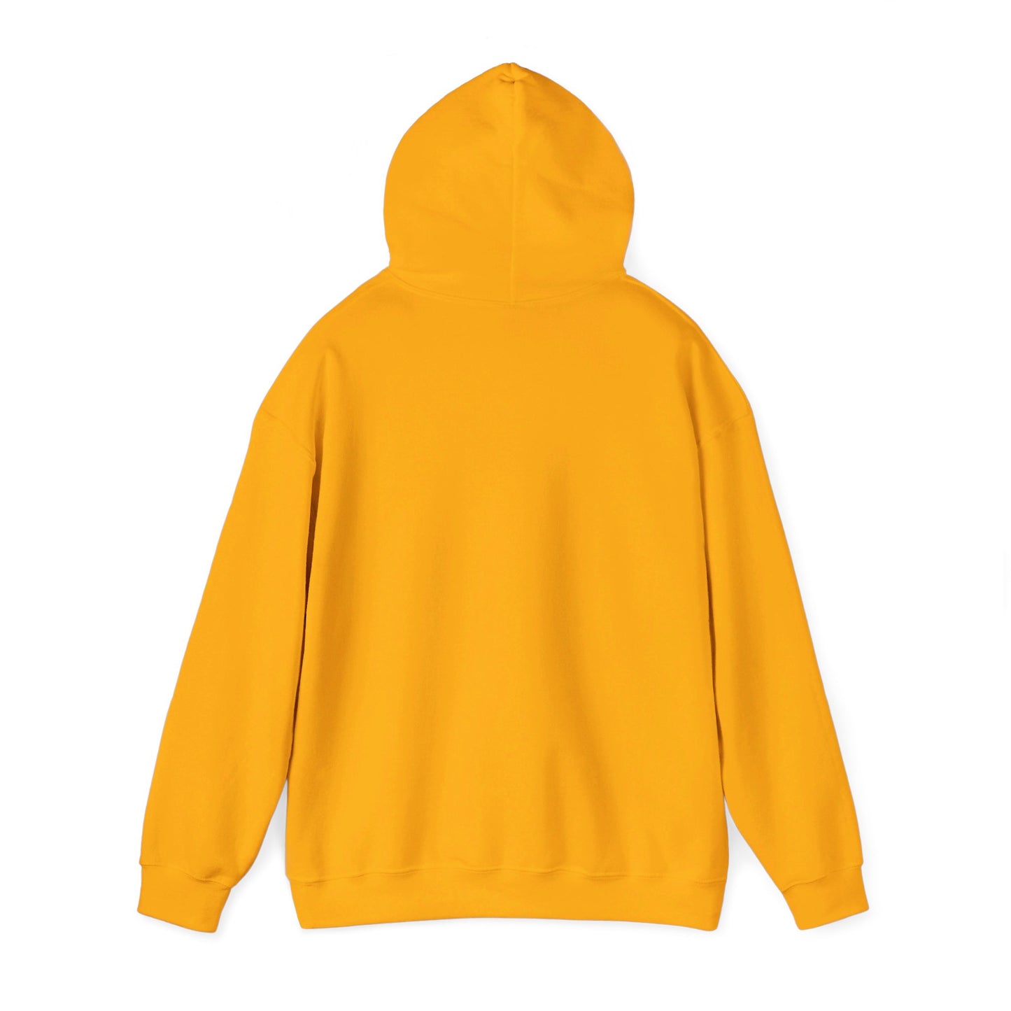 Secret Collection Front Printed Hooded Sweatshirt